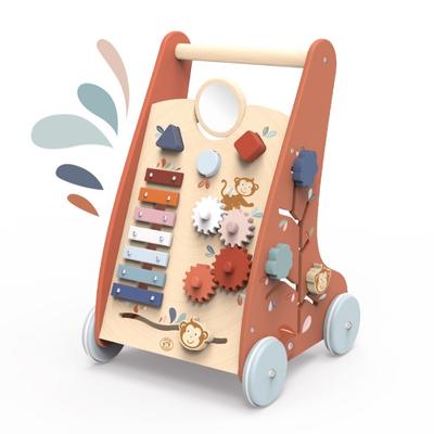 SP1002-Multi-Activity Walker