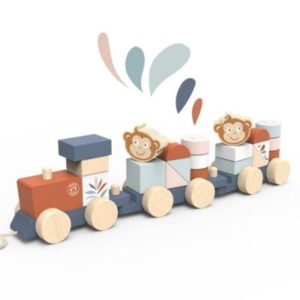 SP1004-Train Stacker