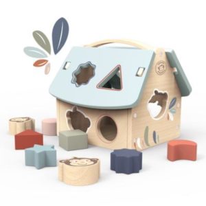 SP1006-House Shape Sorter