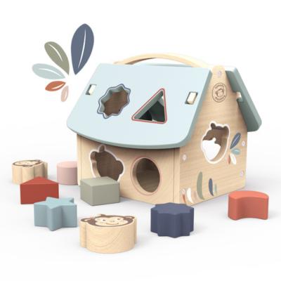 SP1006-House Shape Sorter