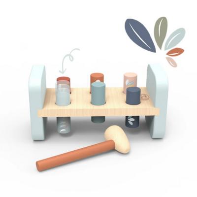 SP1014-Hammer Bench