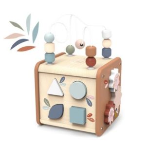 SP1020-Activity Cube 5 in 1
