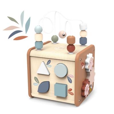 SP1020-Activity Cube 5 in 1