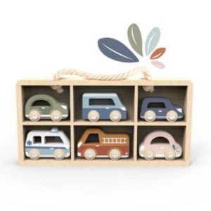 SP1025-Cars Display Case