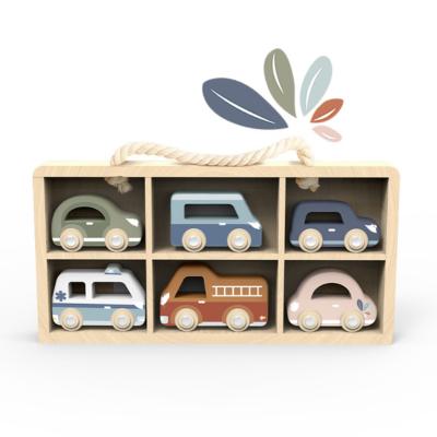 SP1025-Cars Display Case