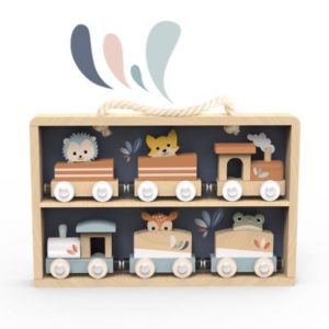 SP1033-Trains Set Display Case