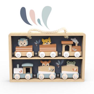 SP1033-Trains Set Display Case