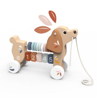 SP1050-Puppy Pull Along