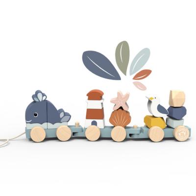 SP1052-Ocean Stacking Train