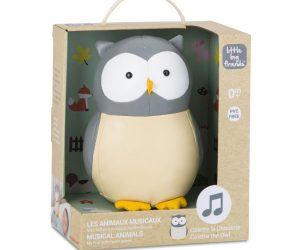 The-Owl-Box